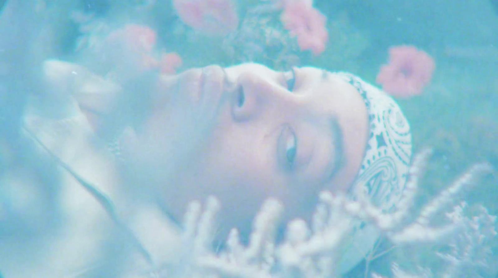 a woman laying down in a field of flowers