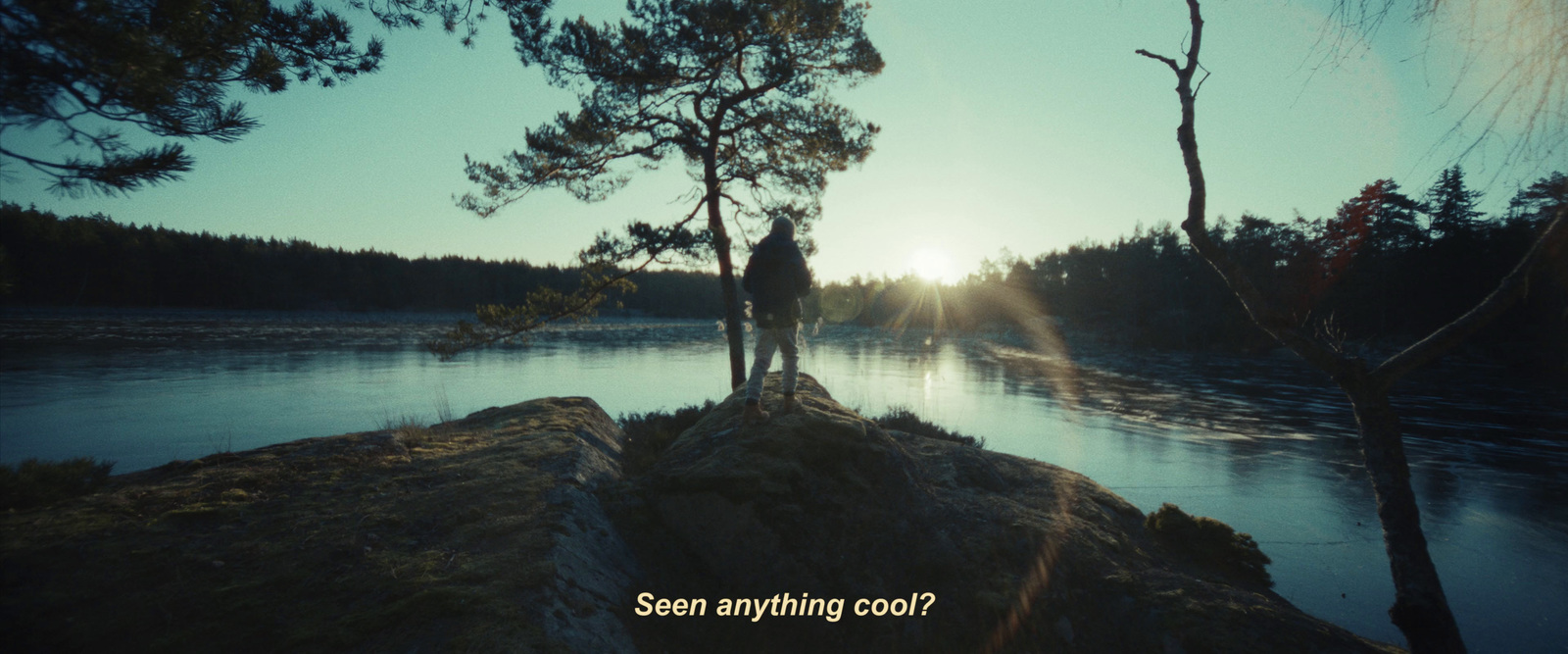 the sun shines through the trees on the shore of a lake