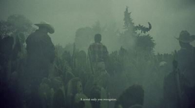 a group of people walking through a foggy forest