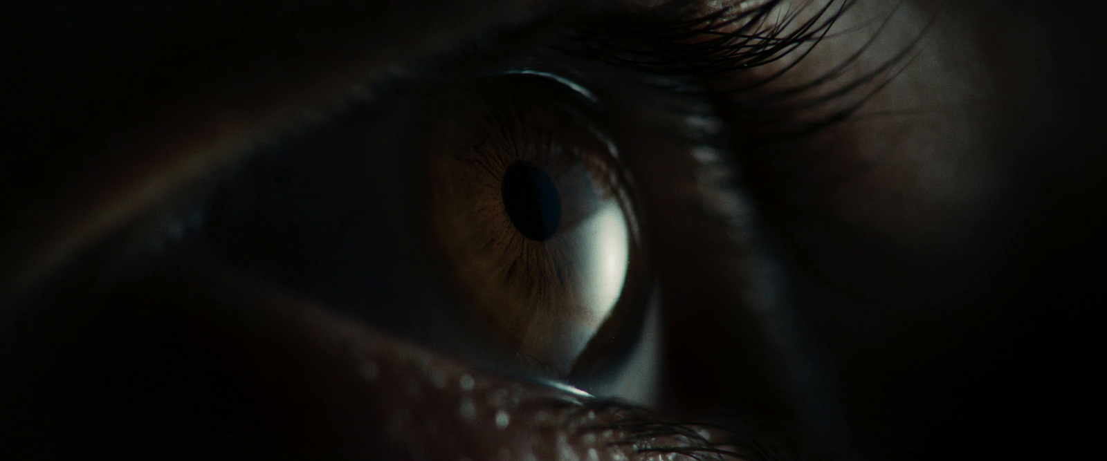 a close up of a person's eye with a dark background