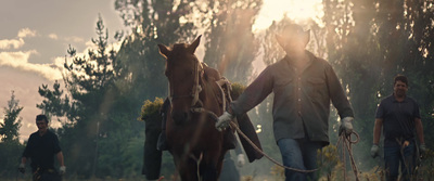 a man walking a horse down a dirt road