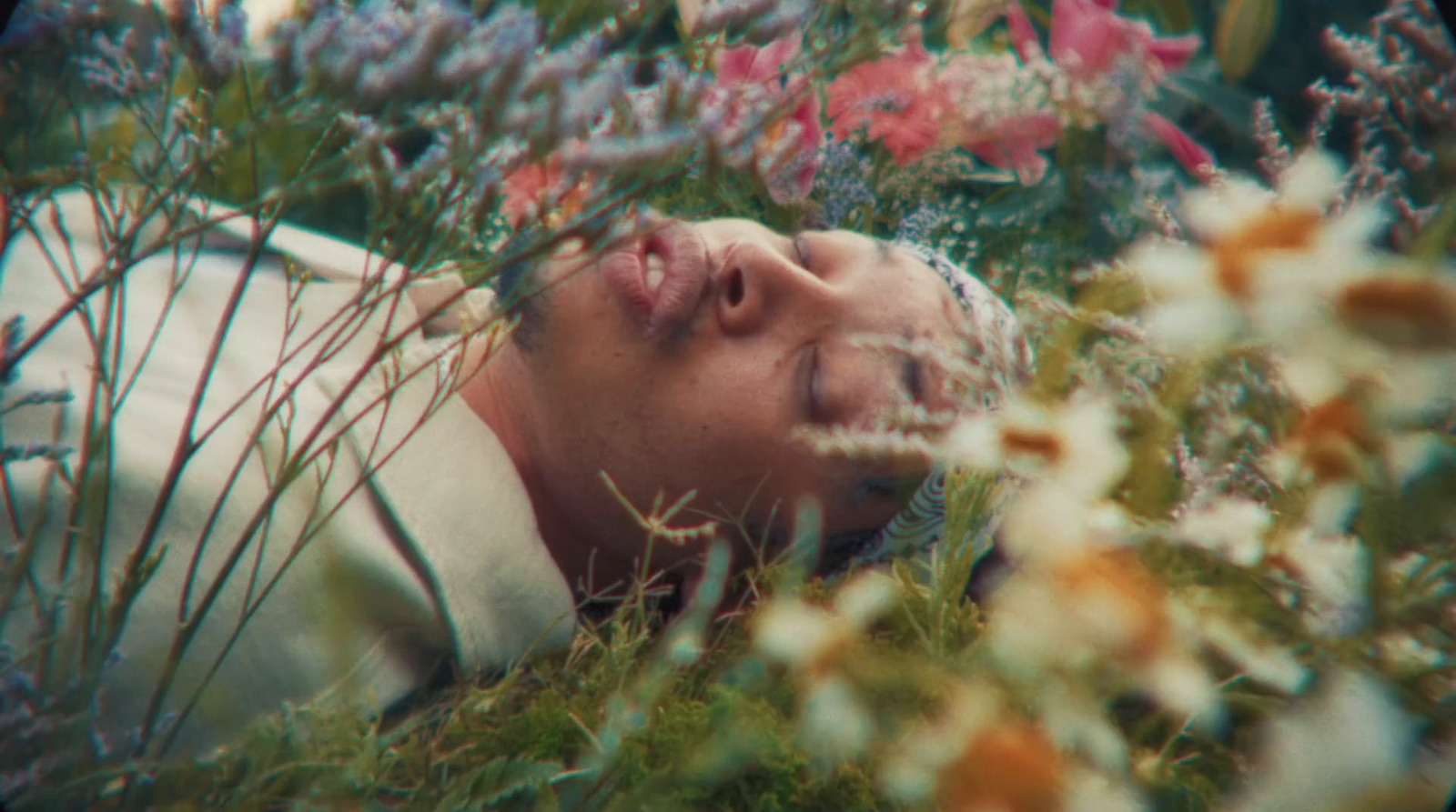 a man laying down in a field of flowers