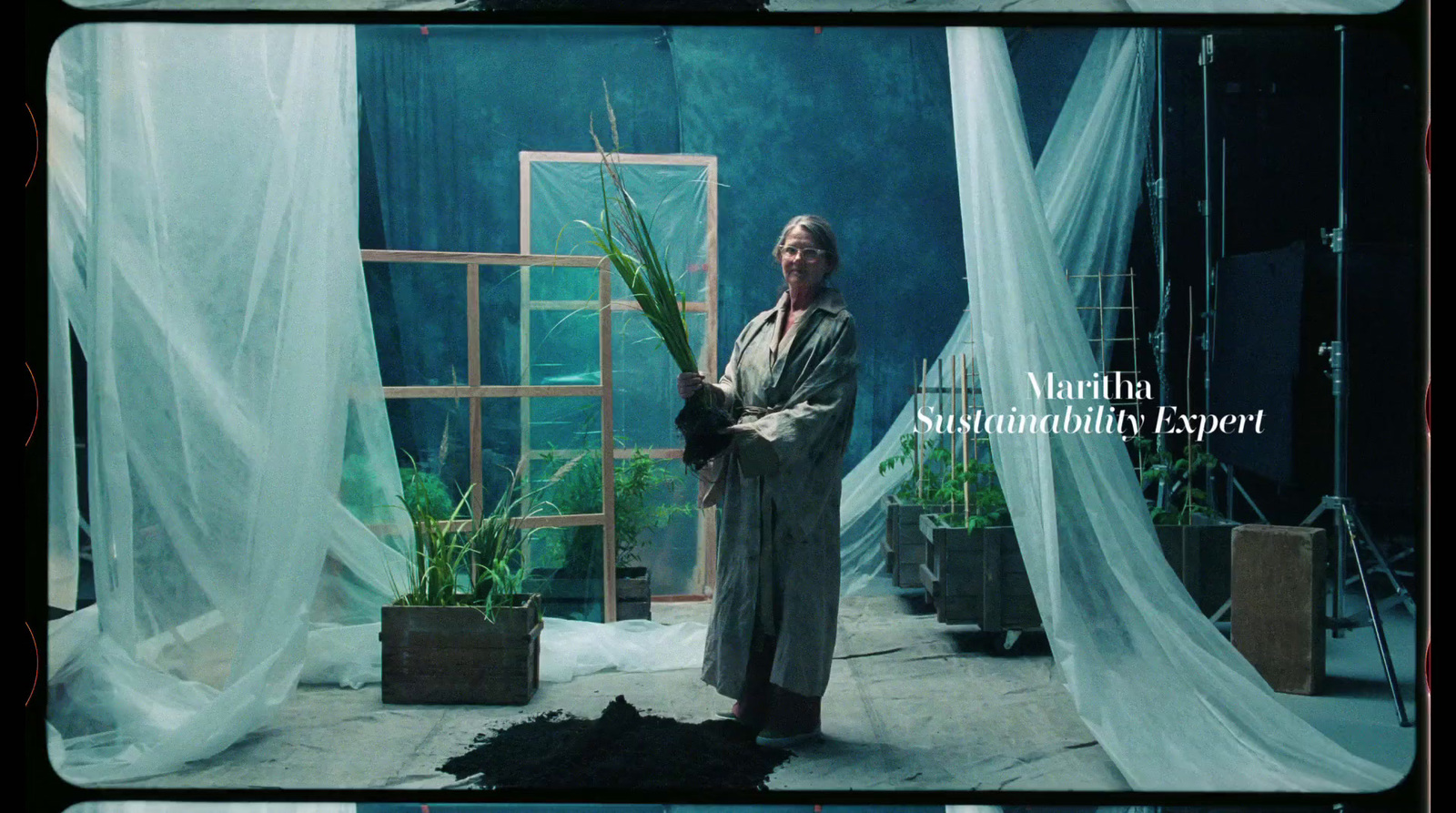 a man standing in front of a window holding a plant