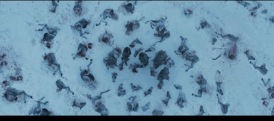 a group of people standing in the snow