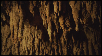 a group of rocks hanging from the side of a wall