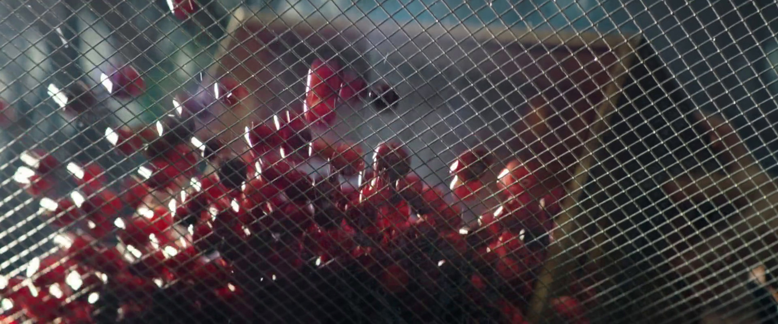 a close up of a red object behind a mesh fence