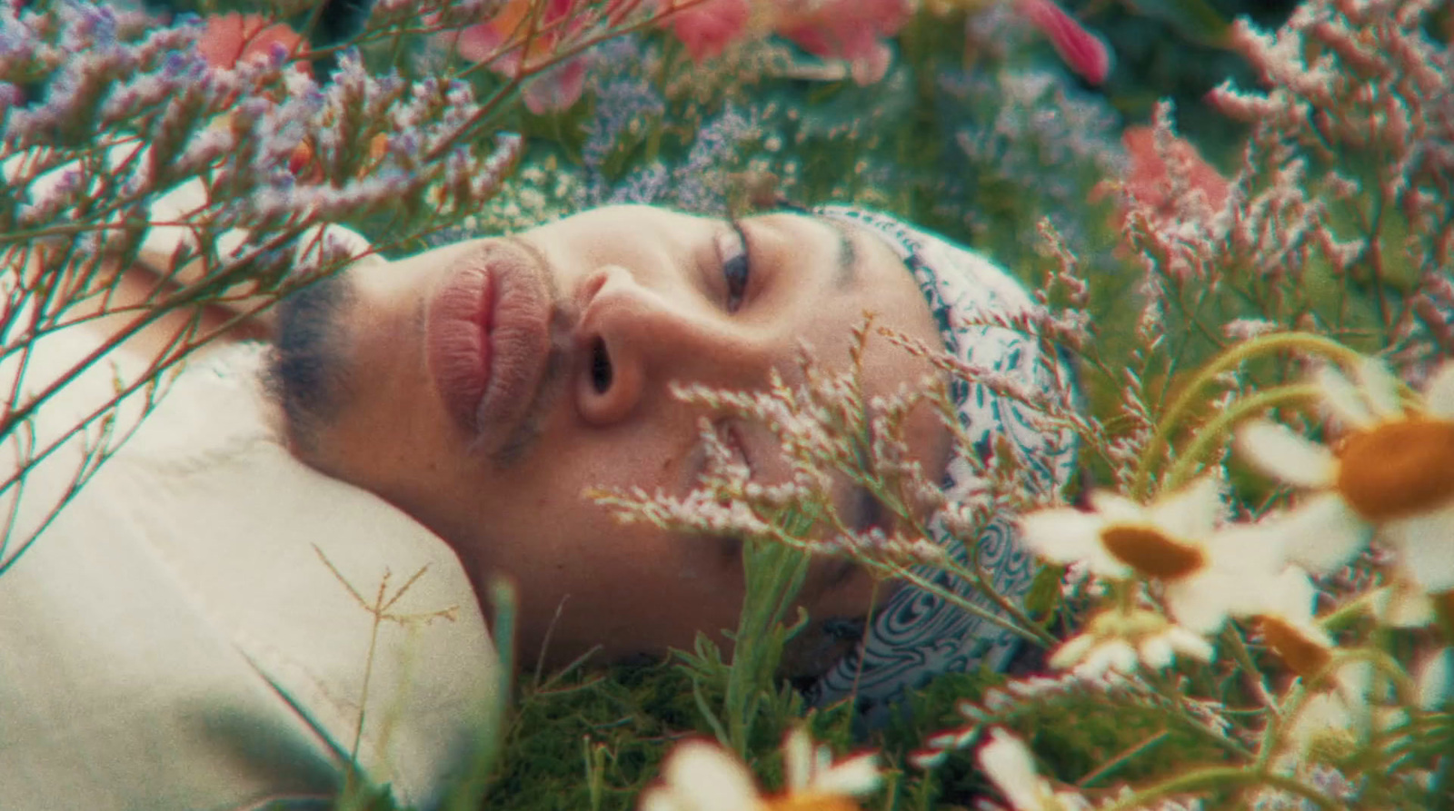 a man laying in a field of flowers