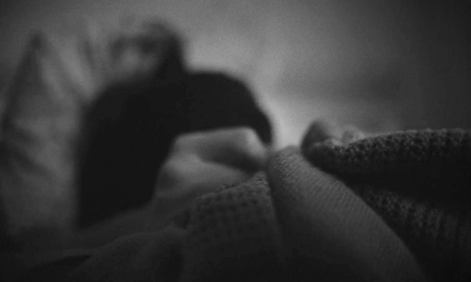 a black and white photo of a person laying in bed