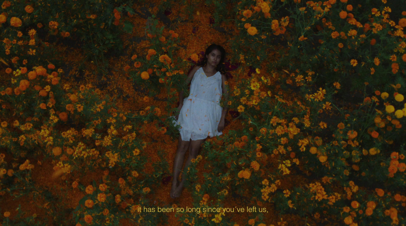 a woman standing in a field of flowers