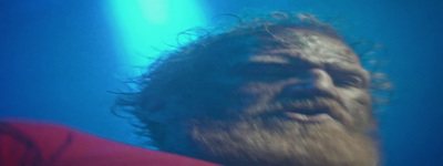 a close up of a person with a beard