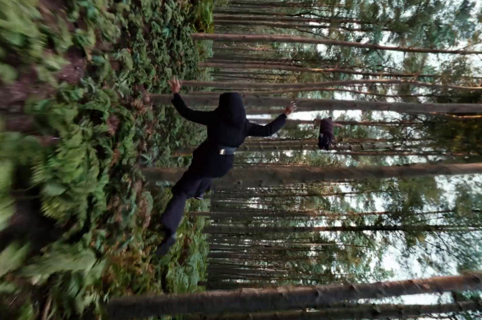 a person in a black hoodie standing in a forest