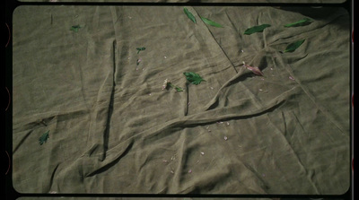 a piece of cloth with green paint on it