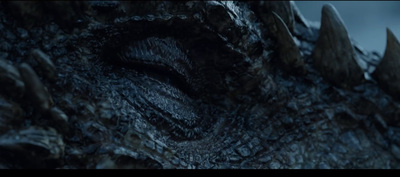 a close up of the face of a dragon