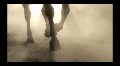 a horse standing in a foggy field