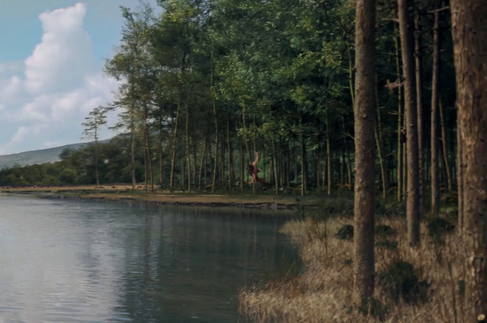 a large body of water surrounded by trees