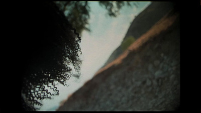 a blurry photo of a tree with a sky in the background