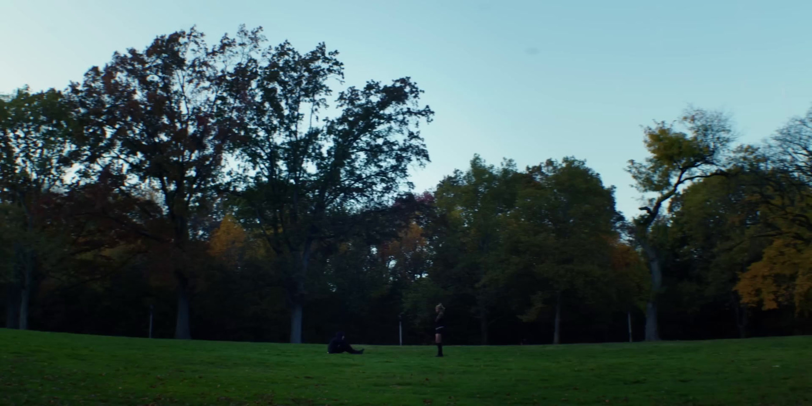 a couple of people standing on top of a lush green field