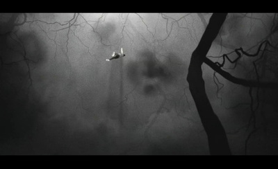 a black and white photo of two birds flying in the sky