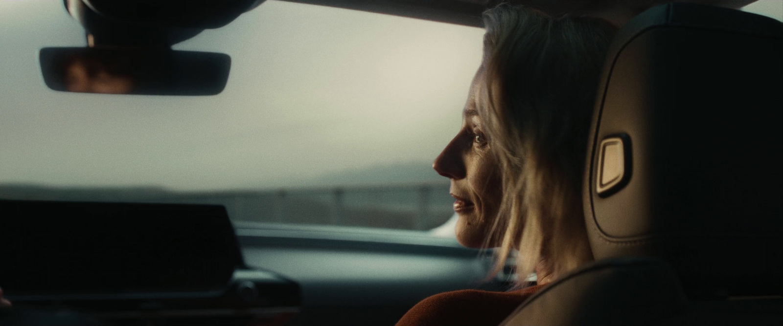 a woman sitting in a car with a laptop