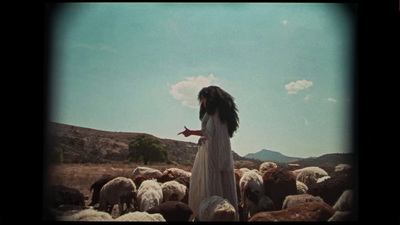 a woman standing in front of a herd of sheep