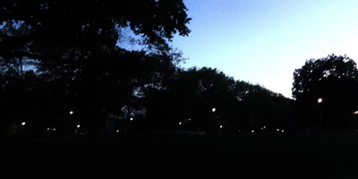 a park at night with trees and street lights