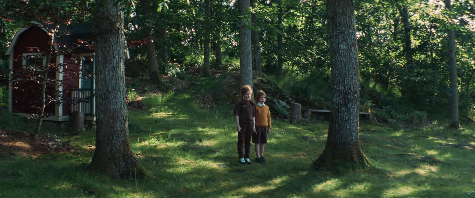 a couple of people standing in a forest