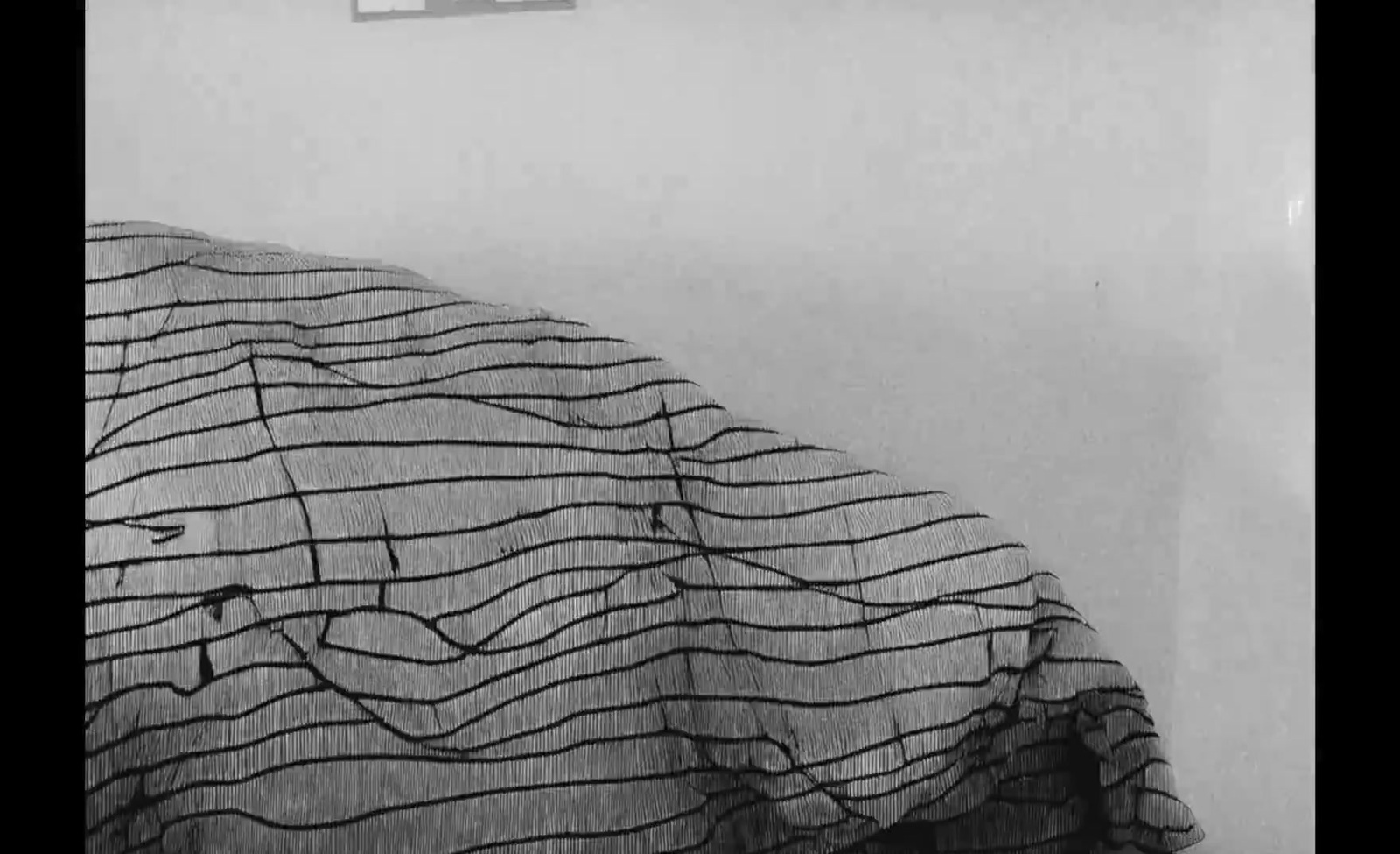 a black and white photo of a bed with a comforter