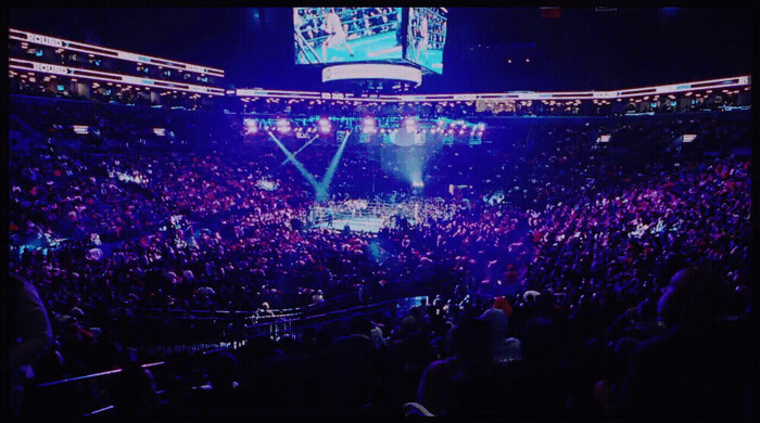 a large crowd of people in a stadium