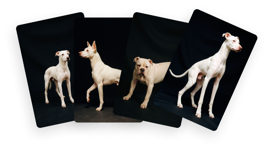 Brand-consistent AI image generation