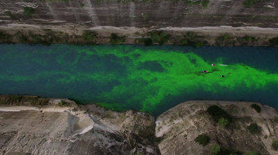 a body of water that has green algae on it