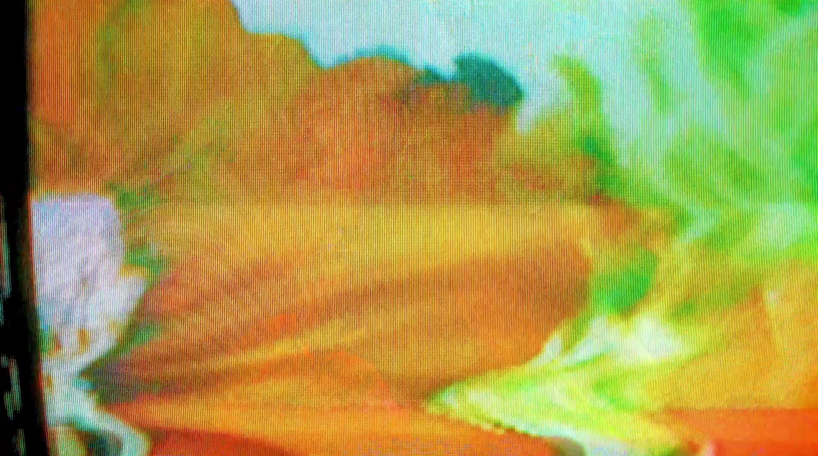 a television screen with a blurry image of a flower