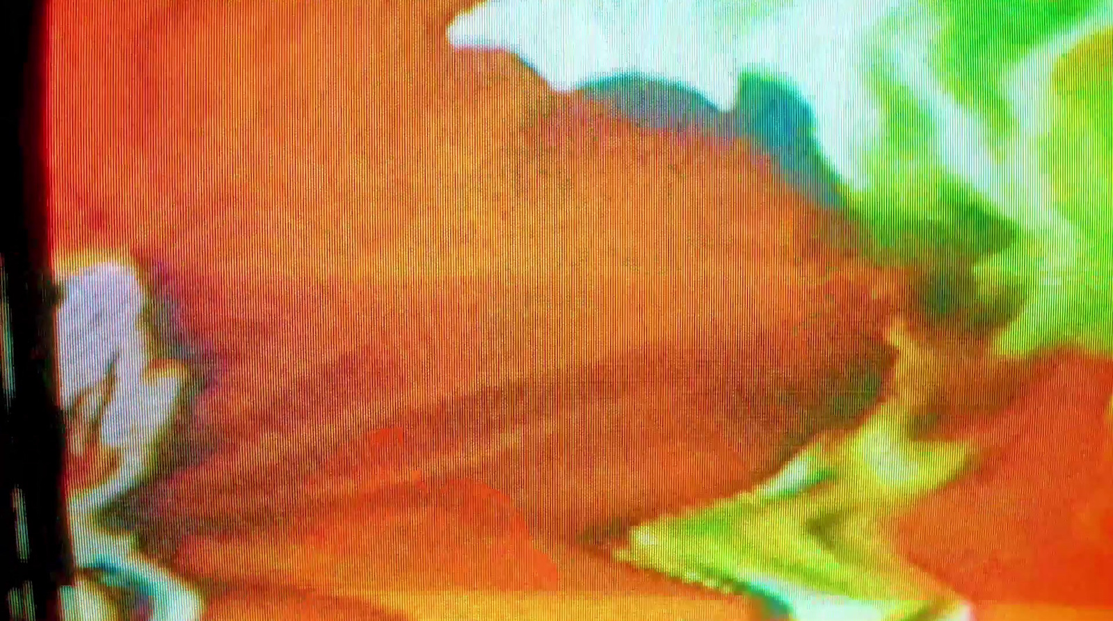 a blurry image of a flower on a television screen